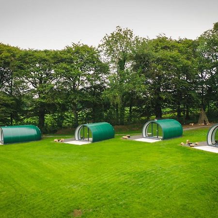 Further Space At Thornfield Luxury Glamping Pods, The Dark Hedges, Ballycastle Ballymoney Buitenkant foto