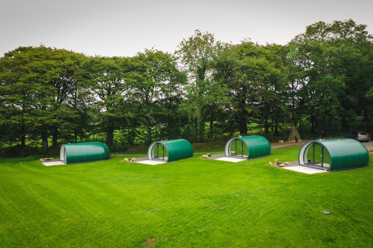 Further Space At Thornfield Luxury Glamping Pods, The Dark Hedges, Ballycastle Ballymoney Buitenkant foto
